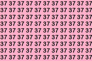 Сможете найти число 73 за 7 секунд? Мини-тест на внимательность