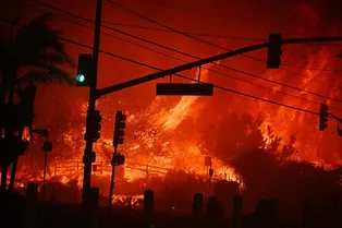 Мир только что пережил 11 самых жарких лет за всю историю наблюдений