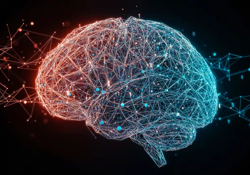 мозг человека мозг человека