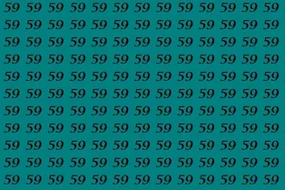 Тренируем внимательность: найдите число 95 за 9 секунд