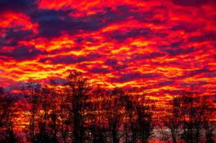 Сами себе синоптики: чего ждать, если на рассвете небо окрасилось в красный цвет Сами себе синоптики: чего ждать, если на рассвете небо окрасилось в красный цвет