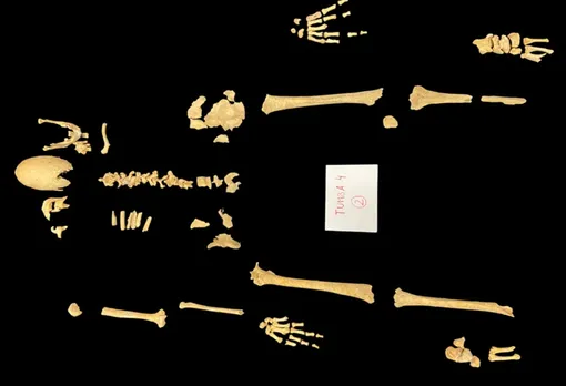 Скелет рыцаря