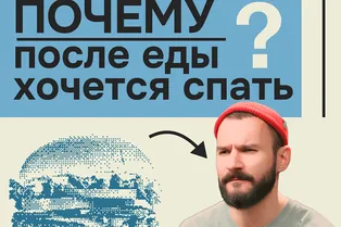 Почему после еды вам хочется спать? Почему после еды вам хочется спать?