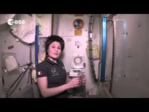Нажми и смотри