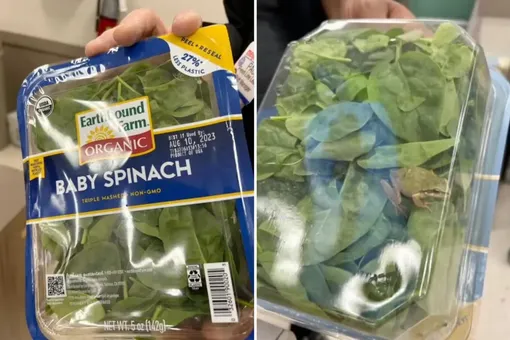 Женщина обнаружила живое существо в упаковке со шпинатом Женщина обнаружила живое существо в упаковке со шпинатом