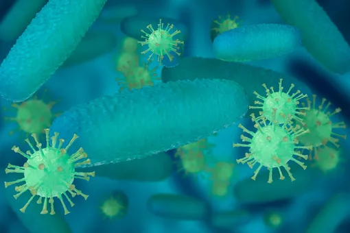 Новое оружие в борьбе с инфекциями: наношипы разрывают бактерии на части