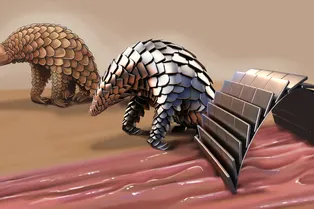 Робот-панголин сможет пробраться в ваше тело и остановить внутреннее кровотечение Робот-панголин сможет пробраться в ваше тело и остановить внутреннее кровотечение