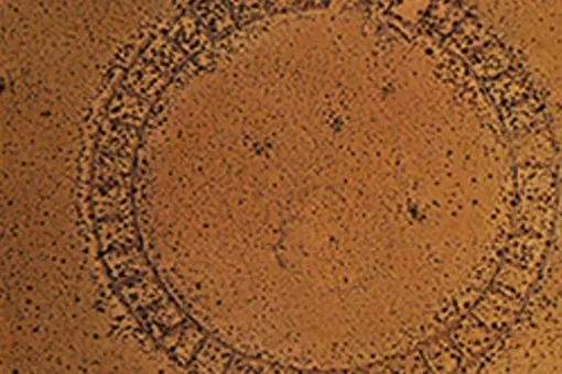 Археологи нашли скульптуру, которая использовалась для «управления» погодой Археологи нашли скульптуру, которая использовалась для «управления» погодой