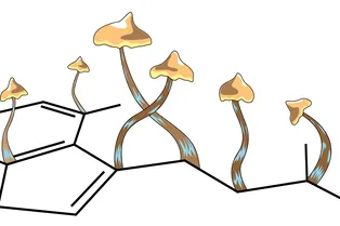 Доказано, что псилоцибин значительно ускоряет рост клеток мозга