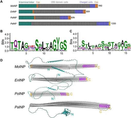 Сравнительный анализ грибковых и бактериальных белков.