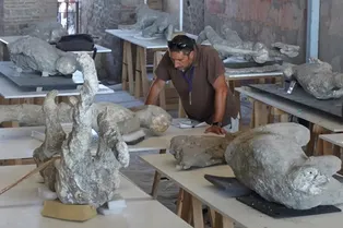 Почему в августе жертвы извержения в Помпеях были одеты в шерстяную одежду