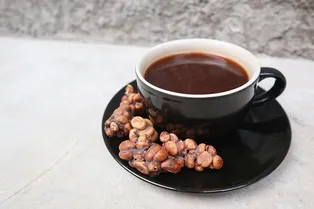 Секрет самого дорогого «циветного» кофе раскрыт: виноваты жирные кислоты