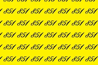 Картинка-головоломка: отыщите число 815 за 15 секунд Картинка-головоломка: отыщите число 815 за 15 секунд