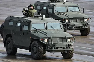 «Тигры» вооружатся до зубов «Тигры» вооружатся до зубов