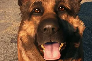 Из какой игры эти собаки? Тест для настоящих геймеров