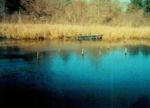 Брошенная лодка Майка Уильямса Брошенная лодка Майка Уильямса