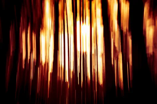 Древнейший костер и звезды-монстры: главные новости сегодня