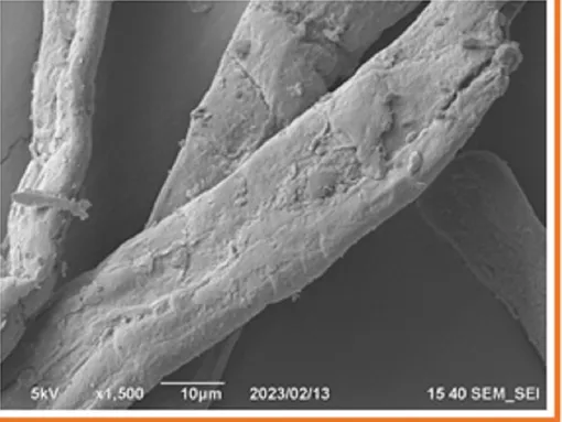 микрофибриллярная целлюлоза