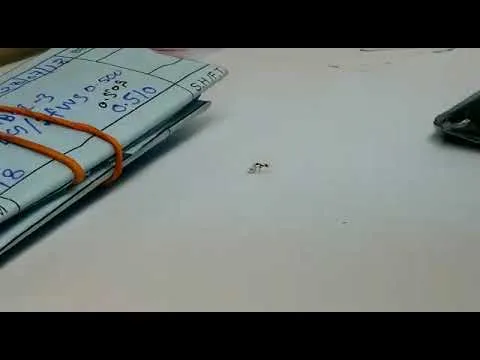 Нажми и смотри