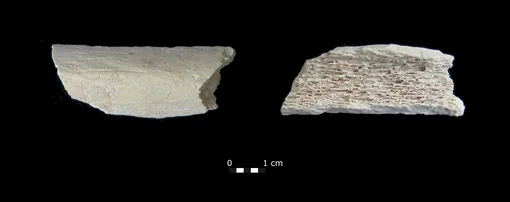 Кость неандертальца, «Звезда 1». Кость неандертальца, «Звезда 1».