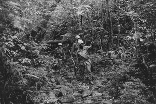 Операция «Блуждающие души»: как американцы психически атаковали вьетнамцев