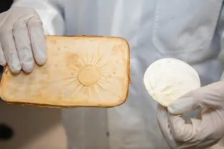 «Умный» материал из грибов спасет ваш дом от пожара «Умный» материал из грибов спасет ваш дом от пожара