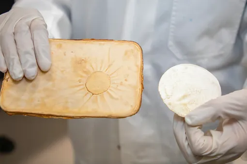 «Умный» материал из грибов спасет ваш дом от пожара «Умный» материал из грибов спасет ваш дом от пожара