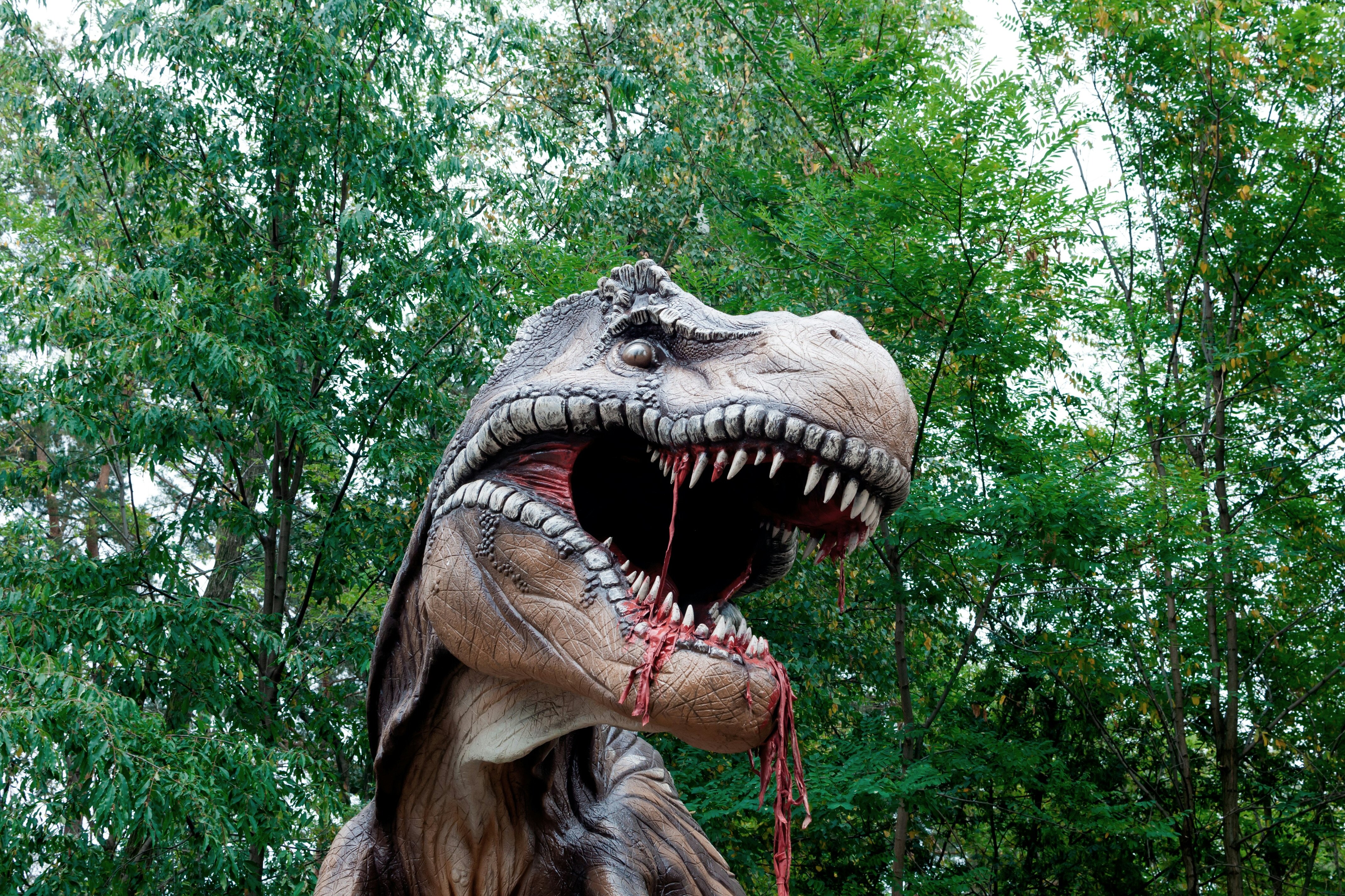 «Горячий» хищник T-Rex: какие динозавры были хладнокровными, а какие — теплокровными