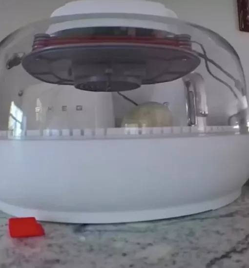 Яйцо в инкубаторе Яйцо в инкубаторе