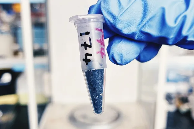 Доказательства древней жизни обнаружены в камне возрастом 3,3 миллиарда лет