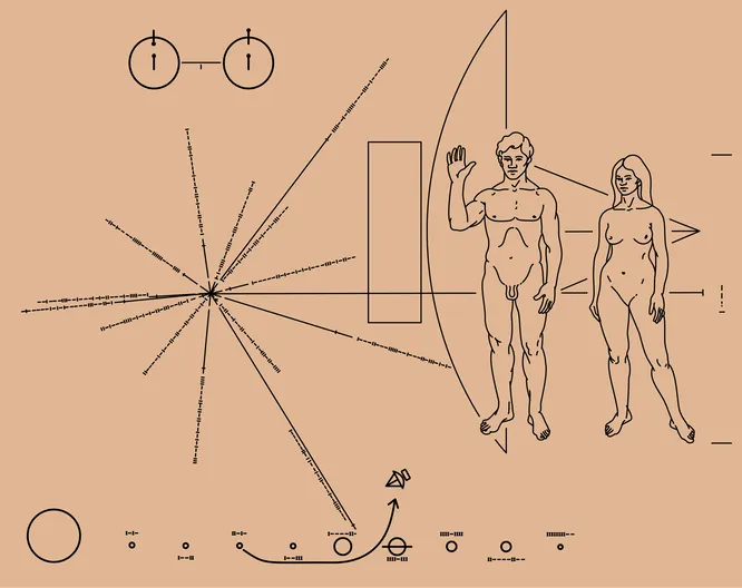 widget-interest