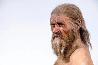 Вирус папилломы человека заражал людей уже 45 тысяч лет назад