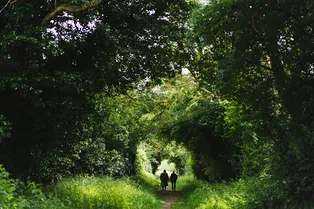 Ученые подтвердили: природа снижает негативные эмоции