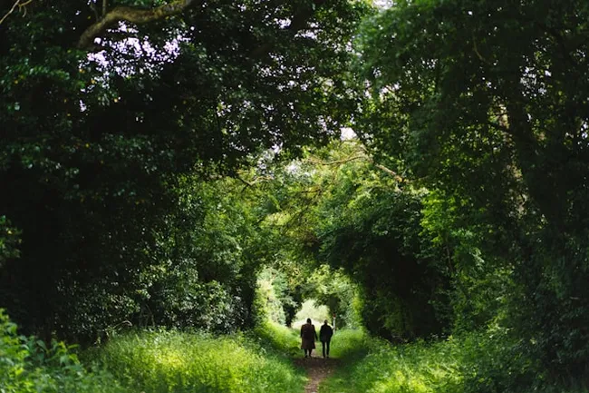 Ученые подтвердили: природа снижает негативные эмоции