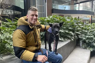 ChatGPT против рака: как австралийский программист разработал для собаки вакцину о тяжелой болезни с помощью ИИ