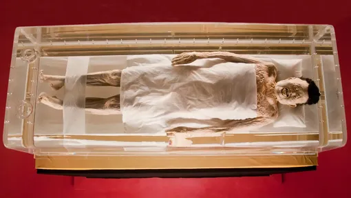 Синь Чжуй Синь Чжуй