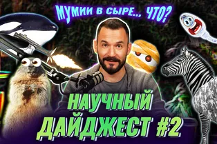 Научный дайджест: древний сыр на мумиях, новые геоглифы Наска, лекарство от катаракты и другие новости недели Научный дайджест: древний сыр на мумиях, новые геоглифы Наска, лекарство от катаракты и другие новости недели