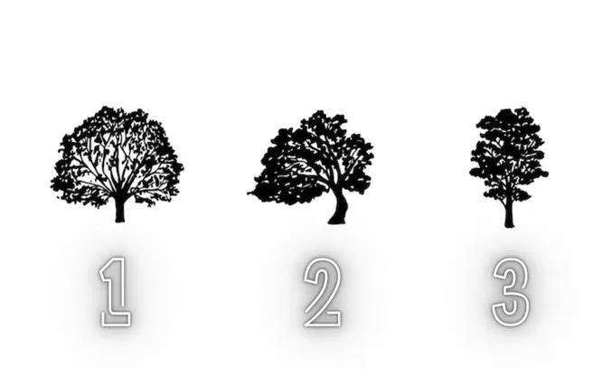 Дерево №1, №2 или №3?