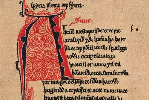 Страница из древнескандинавской рукописи Konungs skuggsjá /