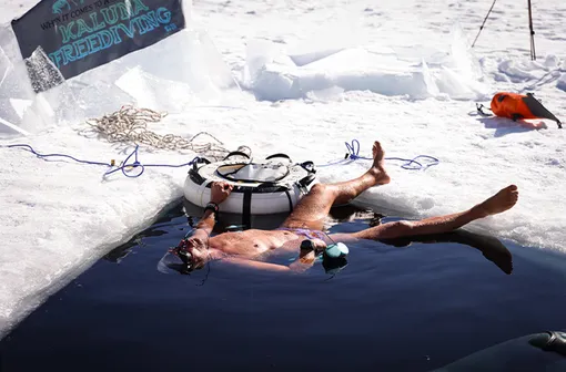 Вальдемар Брудерер