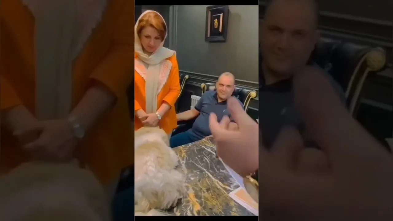 Нажми и смотри