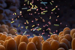 Кишечные бактерии ощущают свое окружение и помогают друг другу питаться