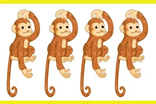 Какая обезьянка отличается от остальных? Задачка для самых зорких