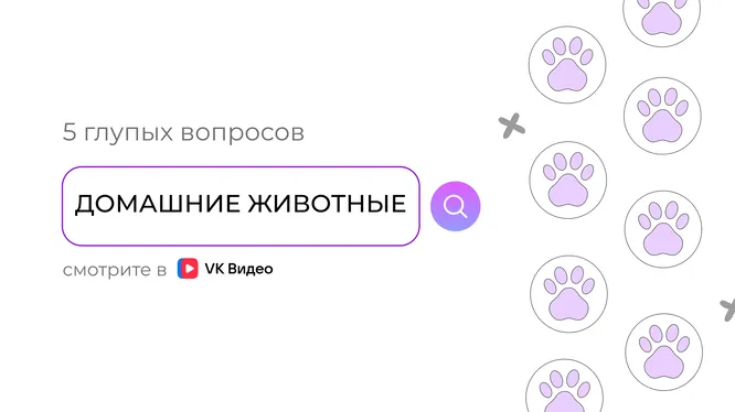 Нажми и смотри