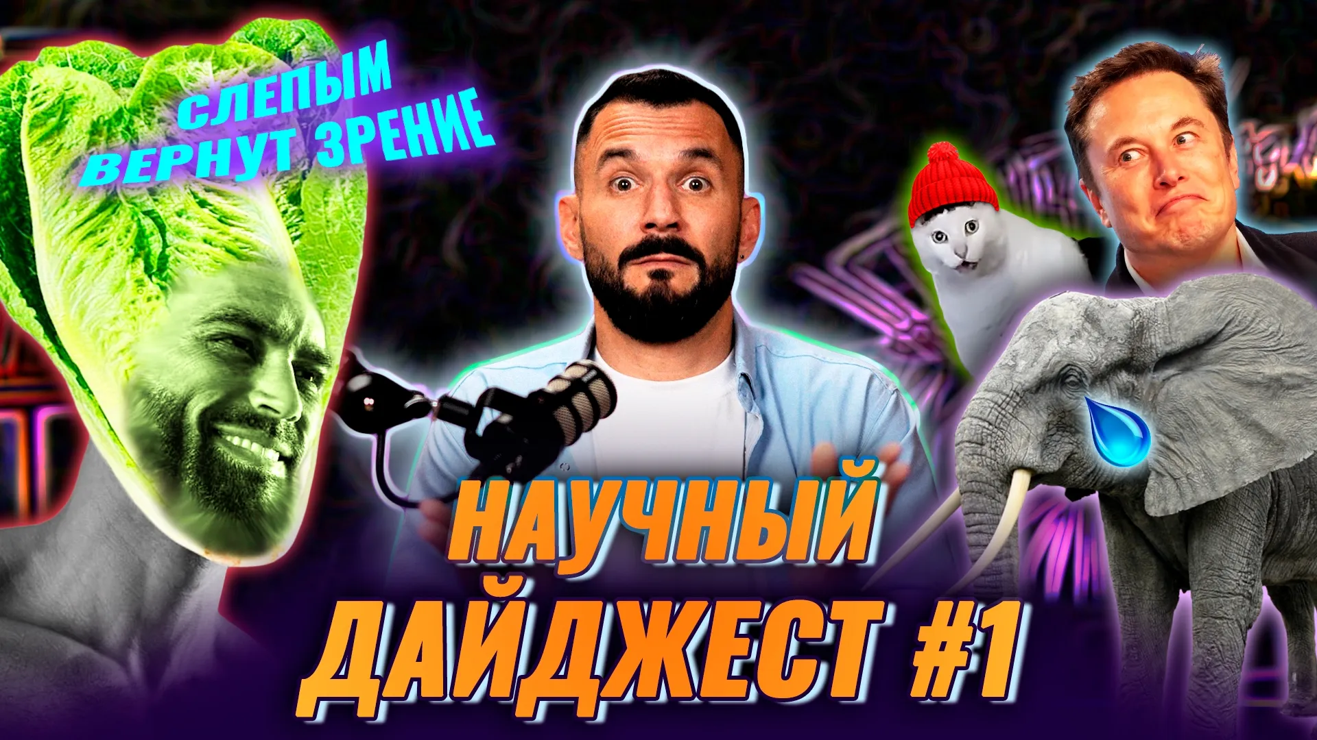 Нажми и смотри Нажми и смотри