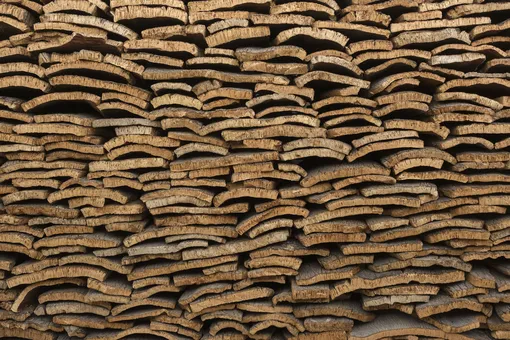 Кора пробкового дерева