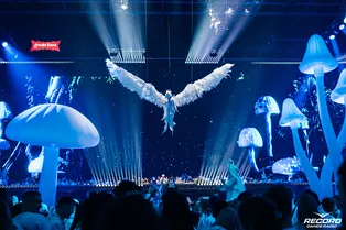 Электронная музыка и световое шоу: фестиваль «Белая» пройдет в Санкт-Петербурге 3 октября
