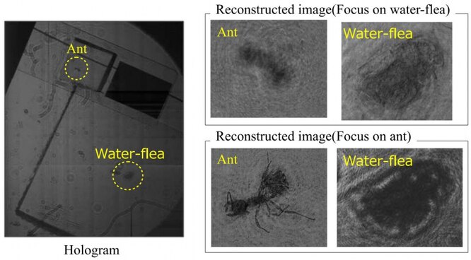 Гигапиксельные голограммы со старого сканера: Собрали «на коленке»