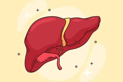 Хна против фиброза печени: как древний пигмент может спасти жизни Хна против фиброза печени: как древний пигмент может спасти жизни