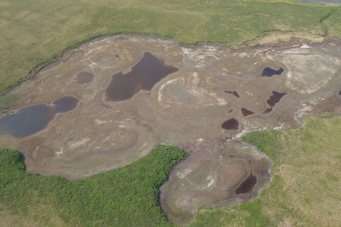 По всей Арктике пересыхают озера. Почему это происходит — непонятно